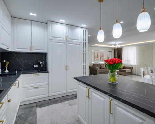 large-black-white-expensive-welldesigned-modern-kitchen