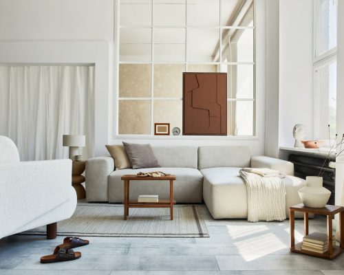 stylish-cozy-living-room-interior